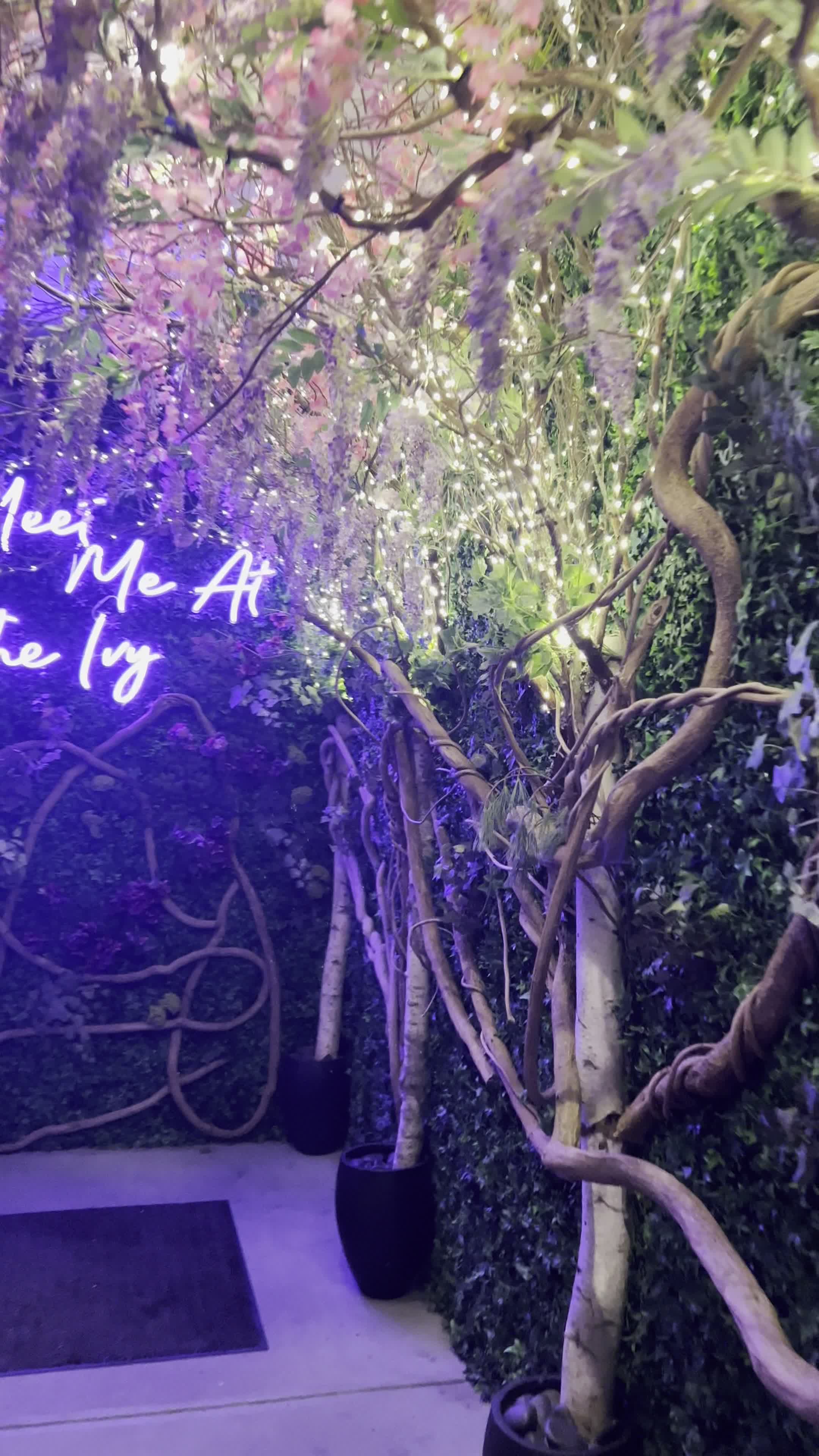 The Ivy Kitchen And Bar