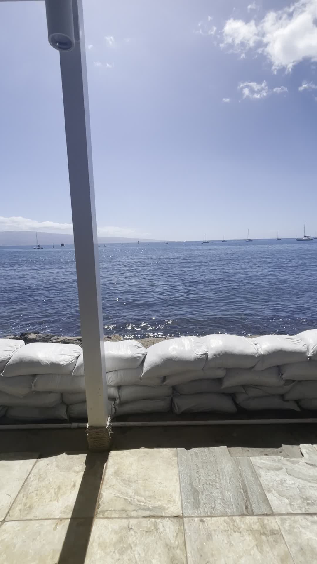 Video review of Mala Ocean Tavern