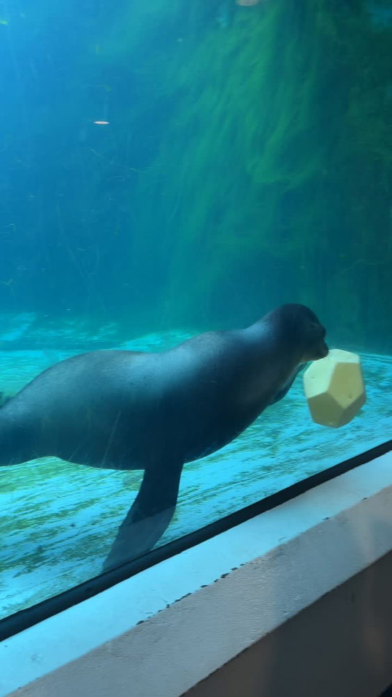 Pittsburgh Zoo & Aquarium