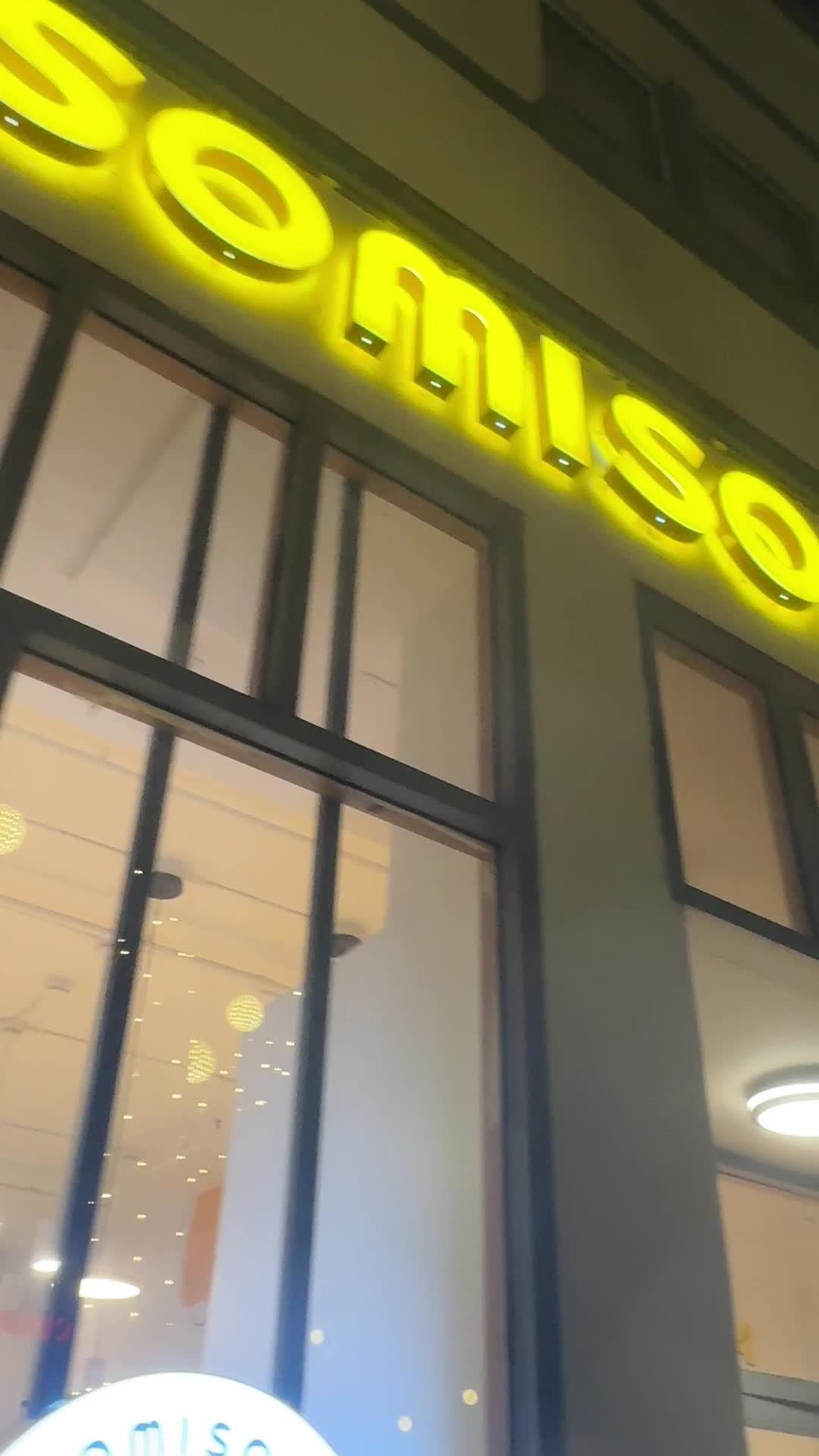 Video review of SomiSomi