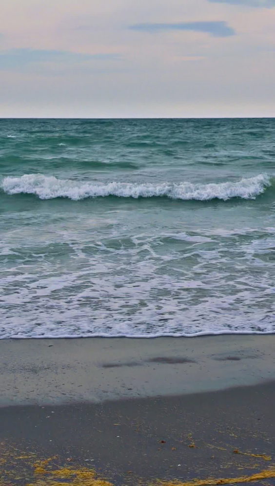 Englewood Beach