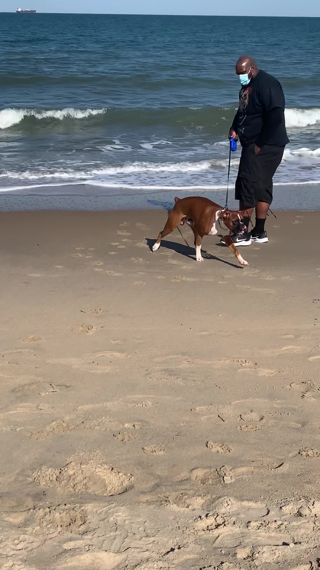 Video review of Rehoboth Beach Boardwalk