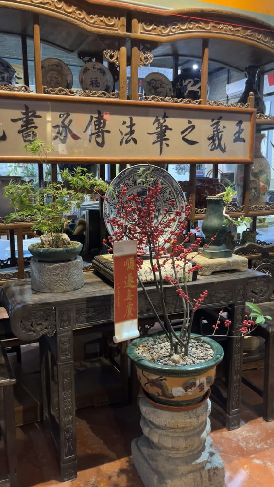 子竹林