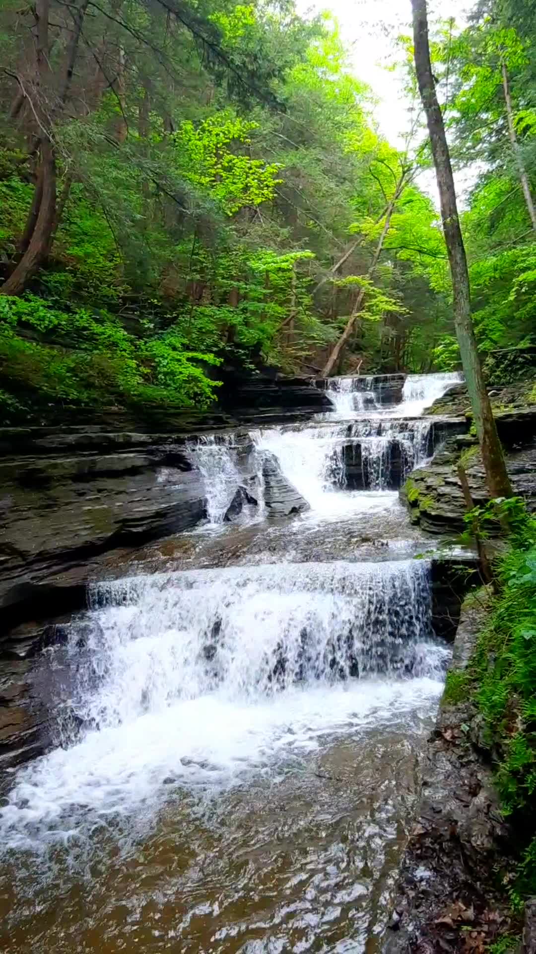 Buttermilk Falls State Park