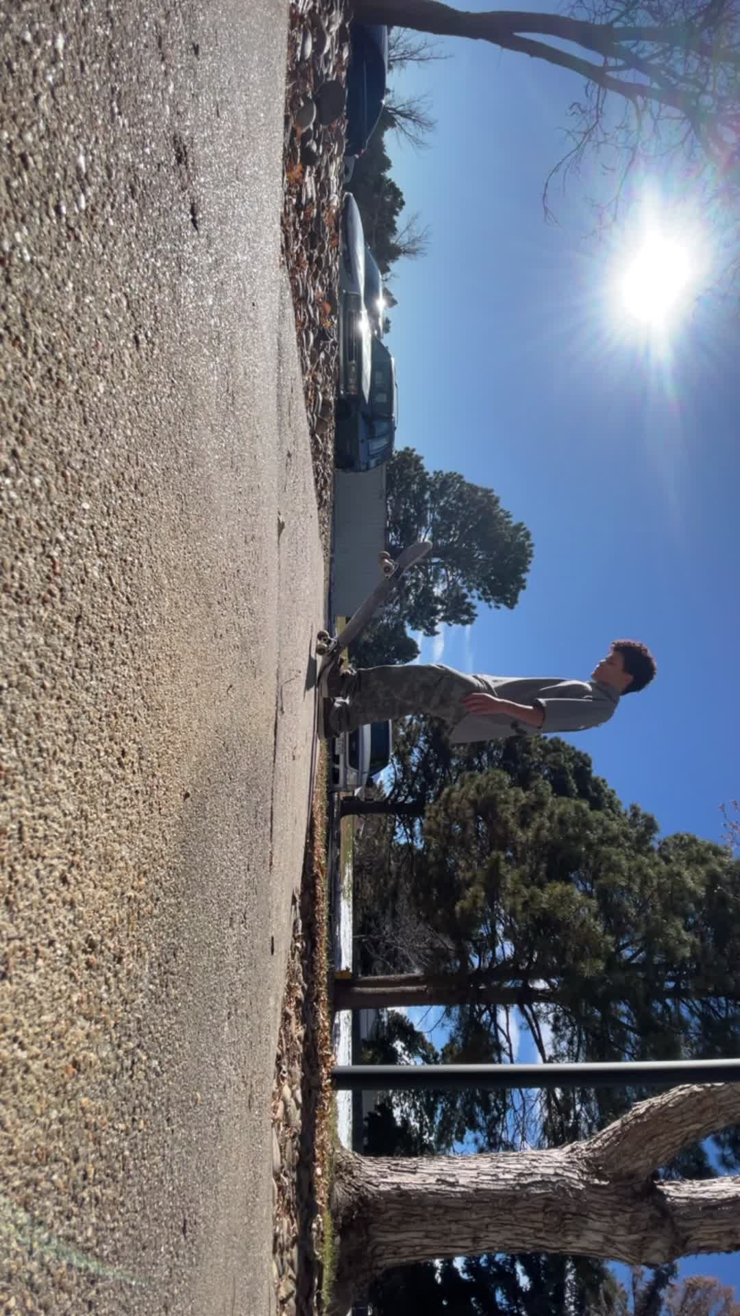 Video review of Palmer Park