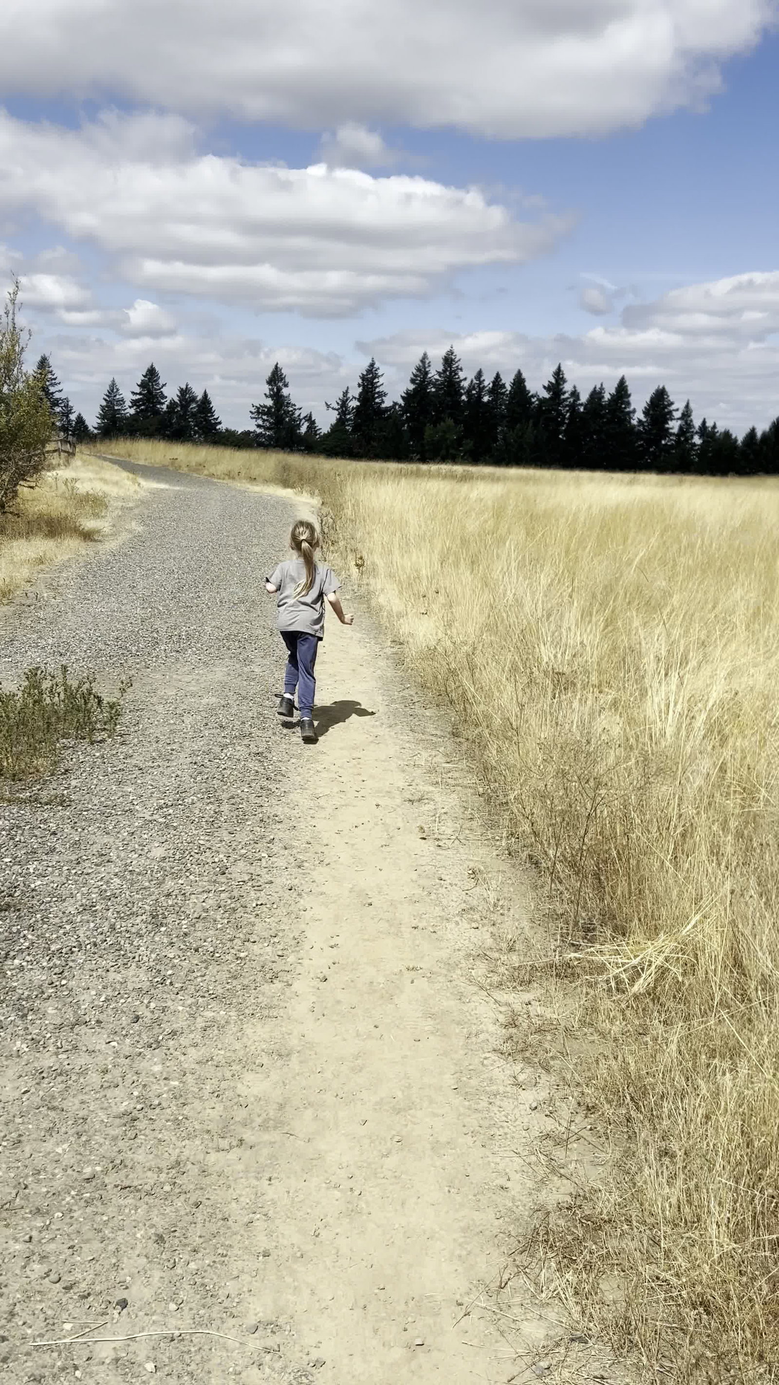 Video review of Powell Butte Nature Park