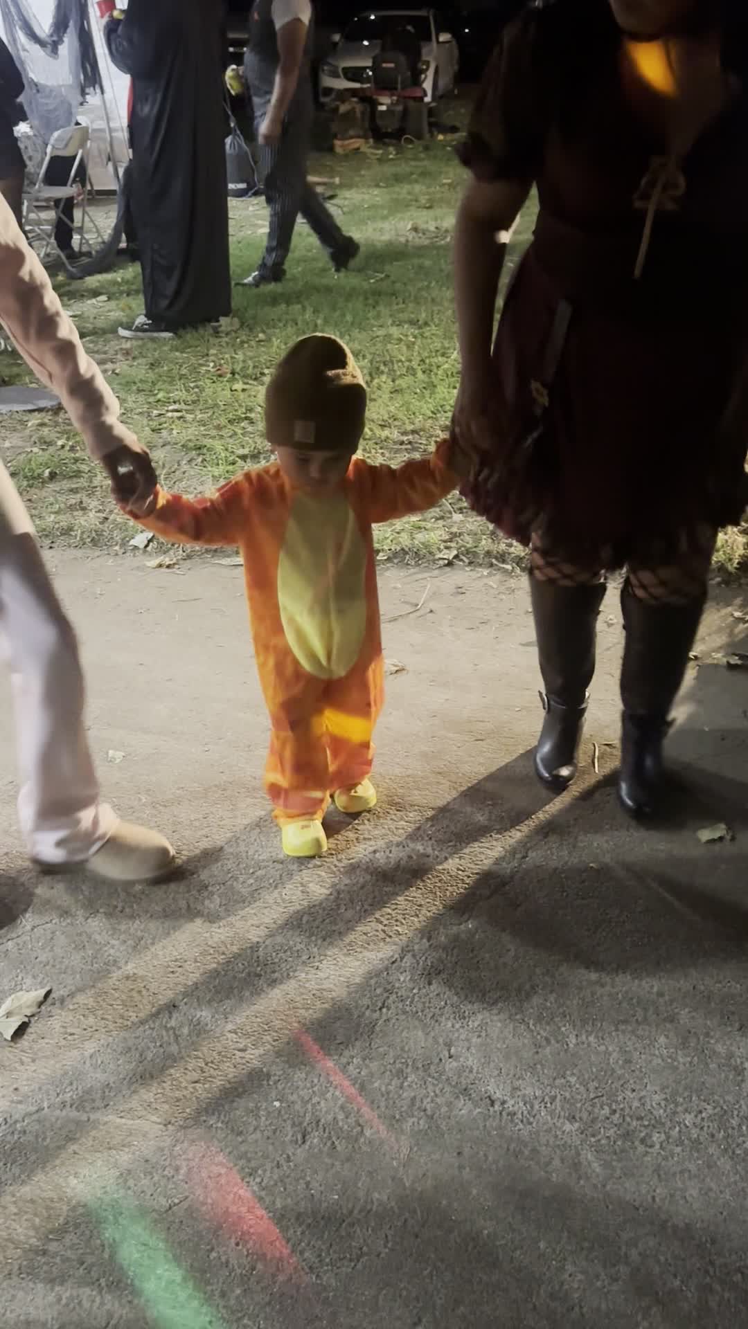 Bert S Gardening Maintena