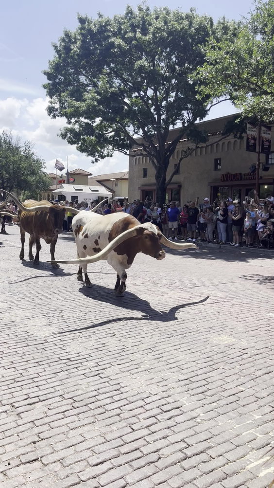 Stockyards Fort Worth