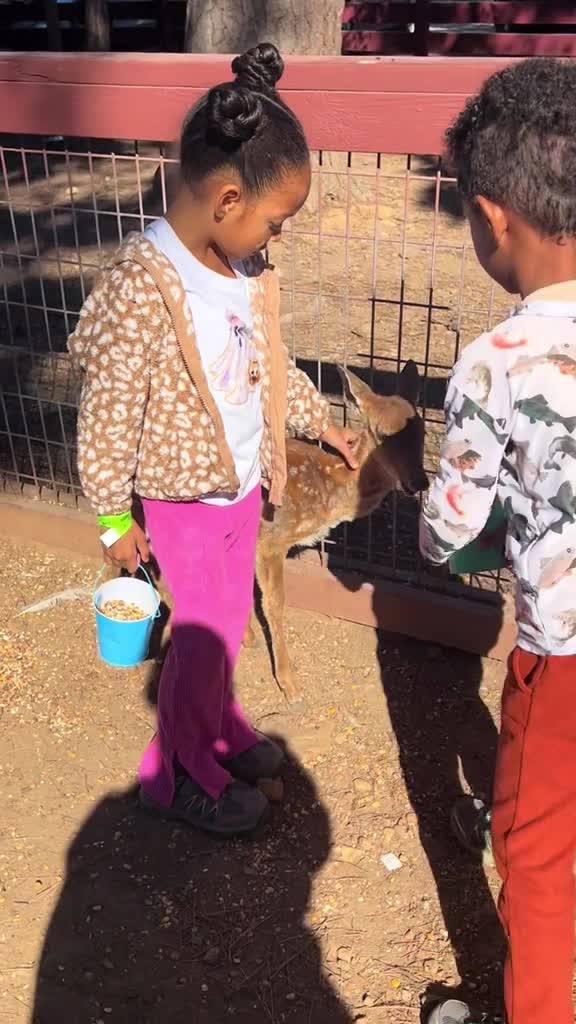 Hochatown Petting Zoo