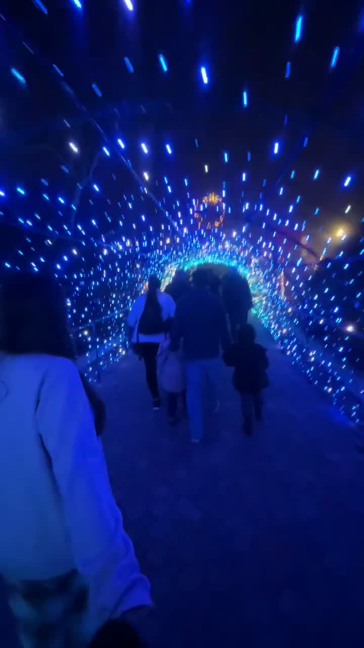 Moonlight Amphitheater