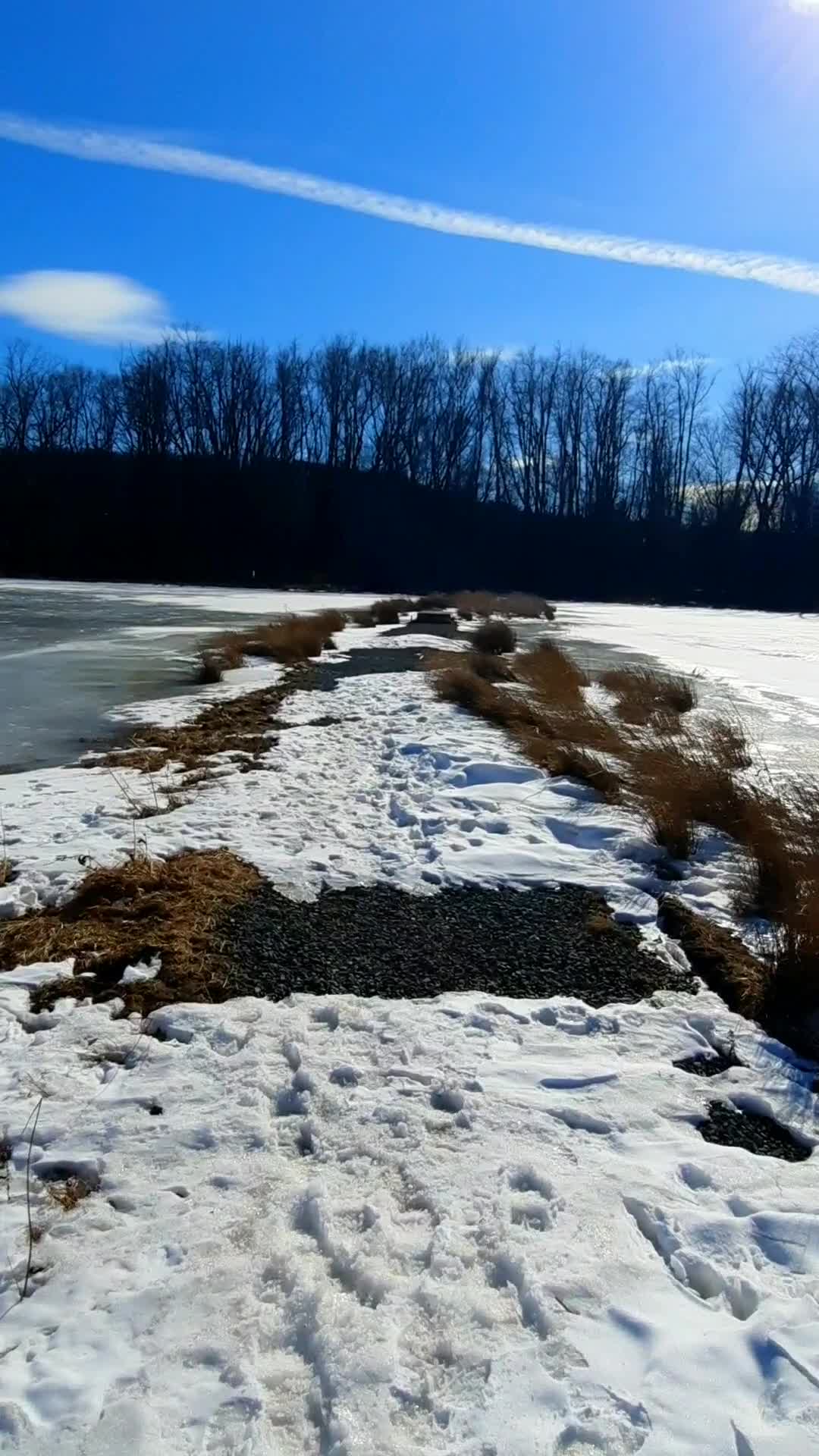 Brick Pond