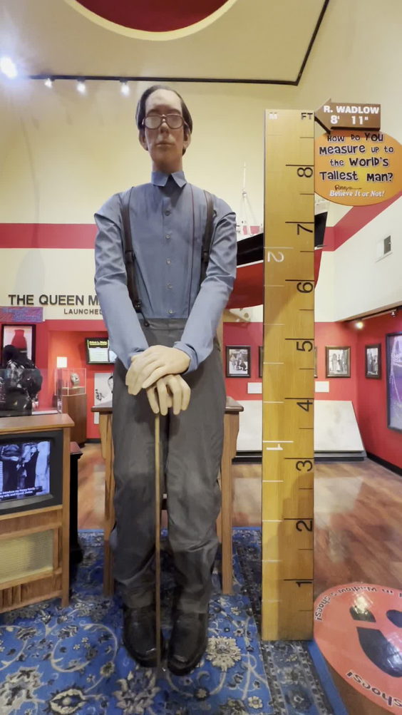 Ripley's Believe It or Not!