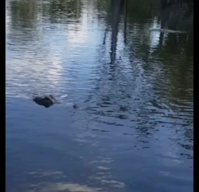 Everglades Safari Park