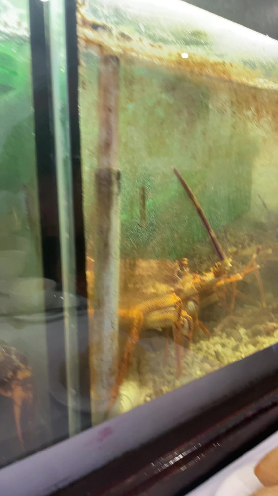 Golden Territory Seafood Restaurant