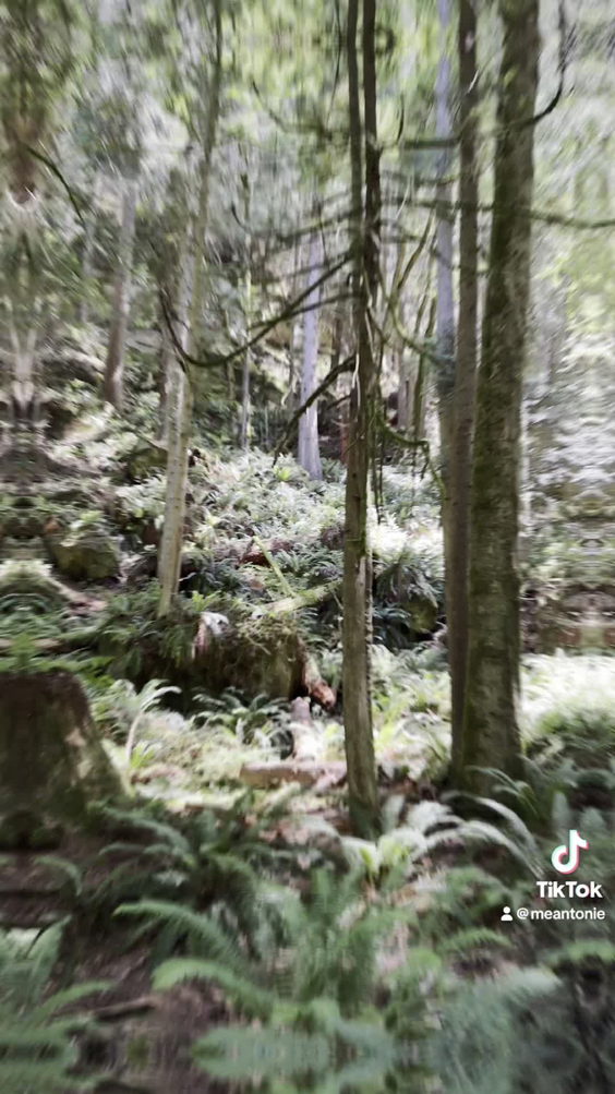 Fragrance Lake