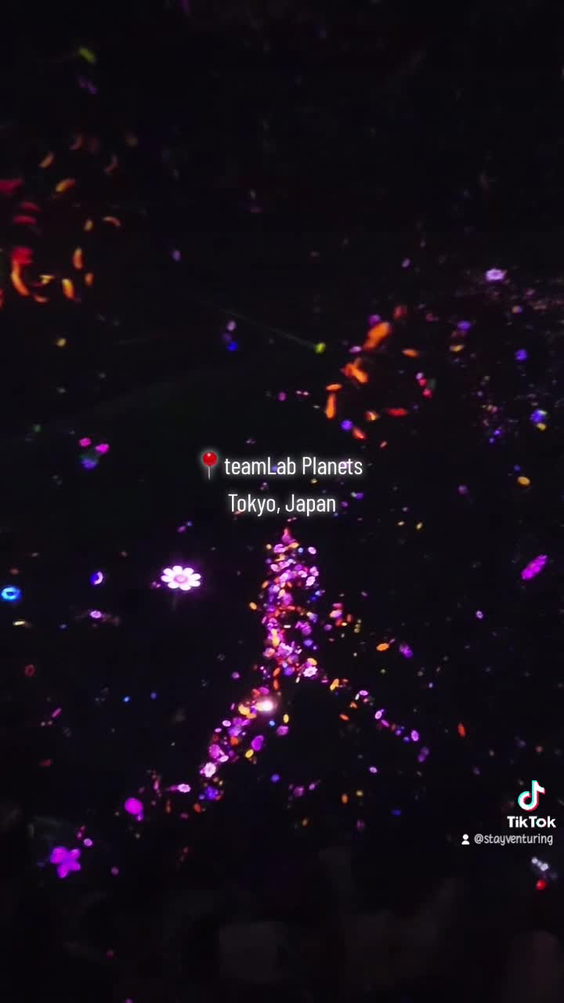 teamLab Planets TOKYO DMM