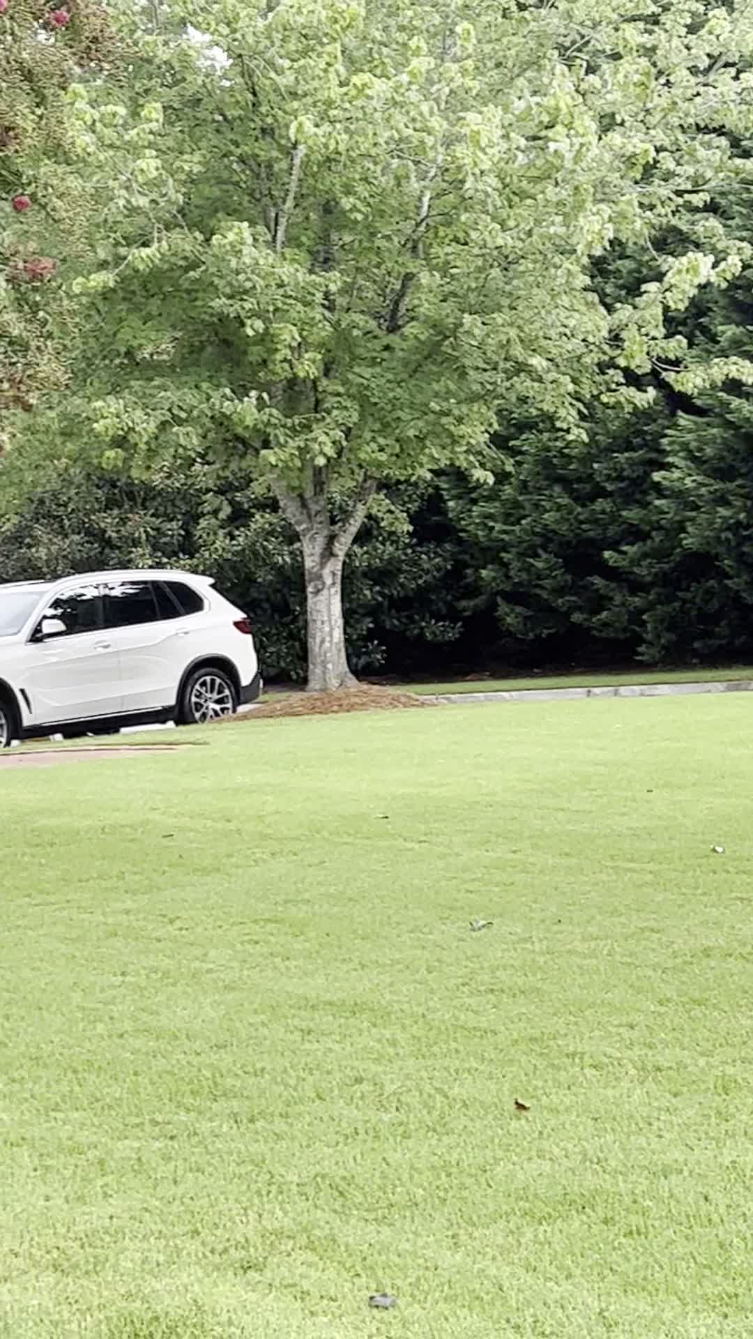 The Brunch Apothecary