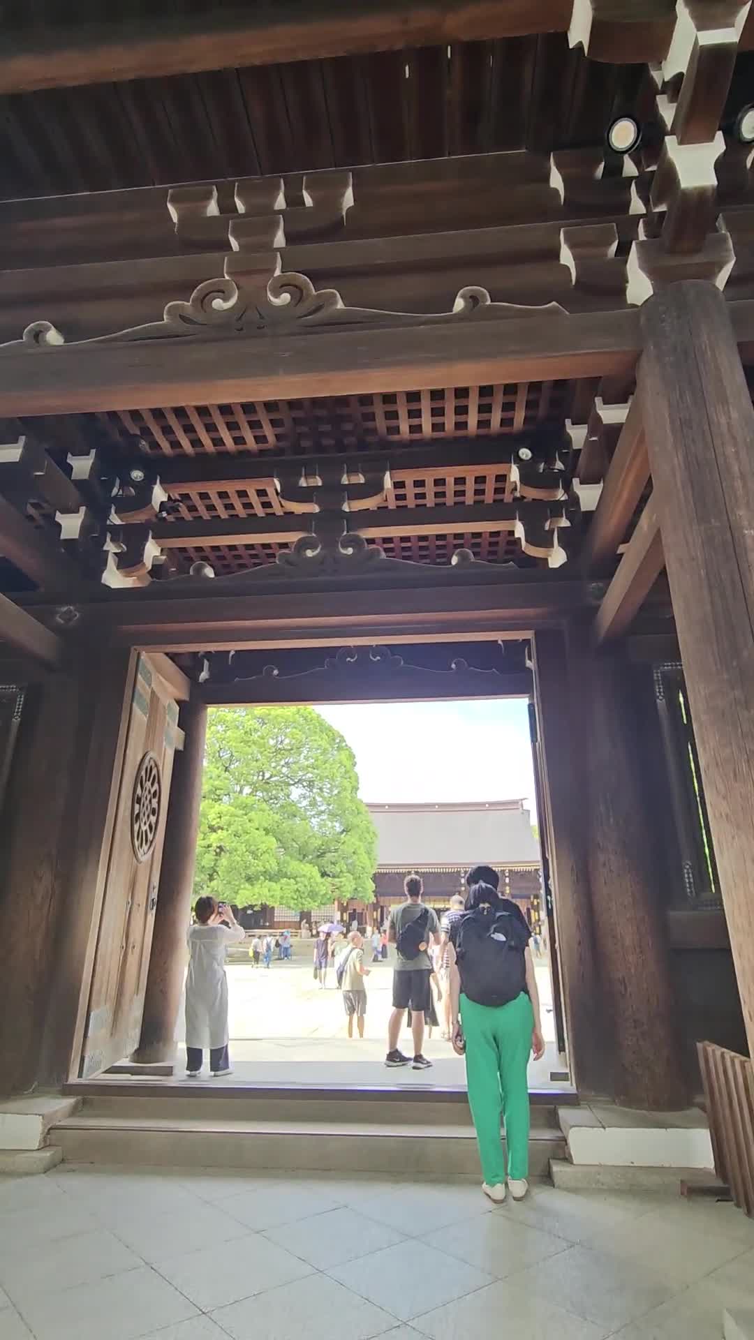 Video review of Meiji Jingu Shrine (明治神宮)
