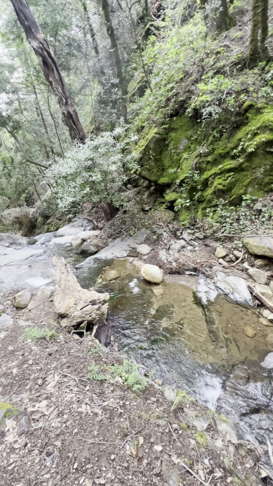 Uvas Canyon County Park