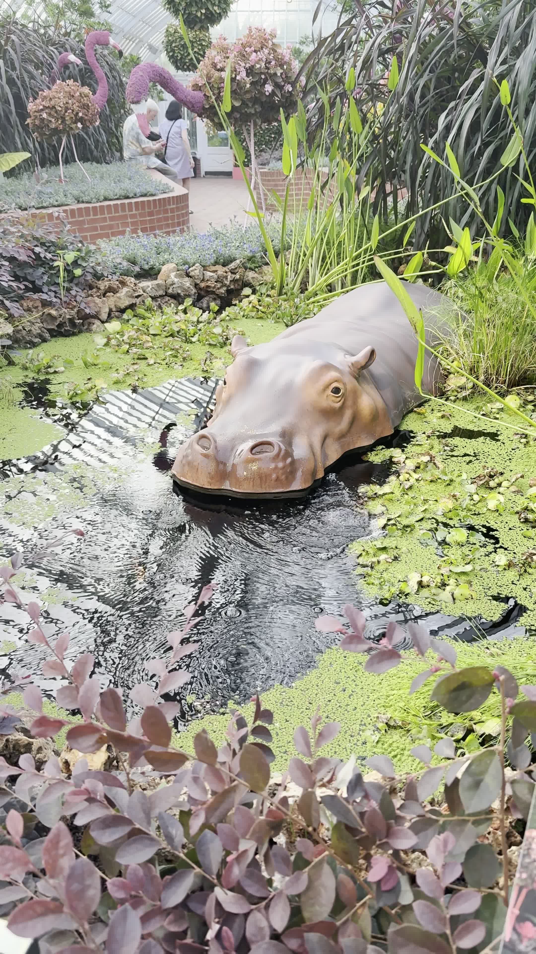 Video review of Cafe Phipps