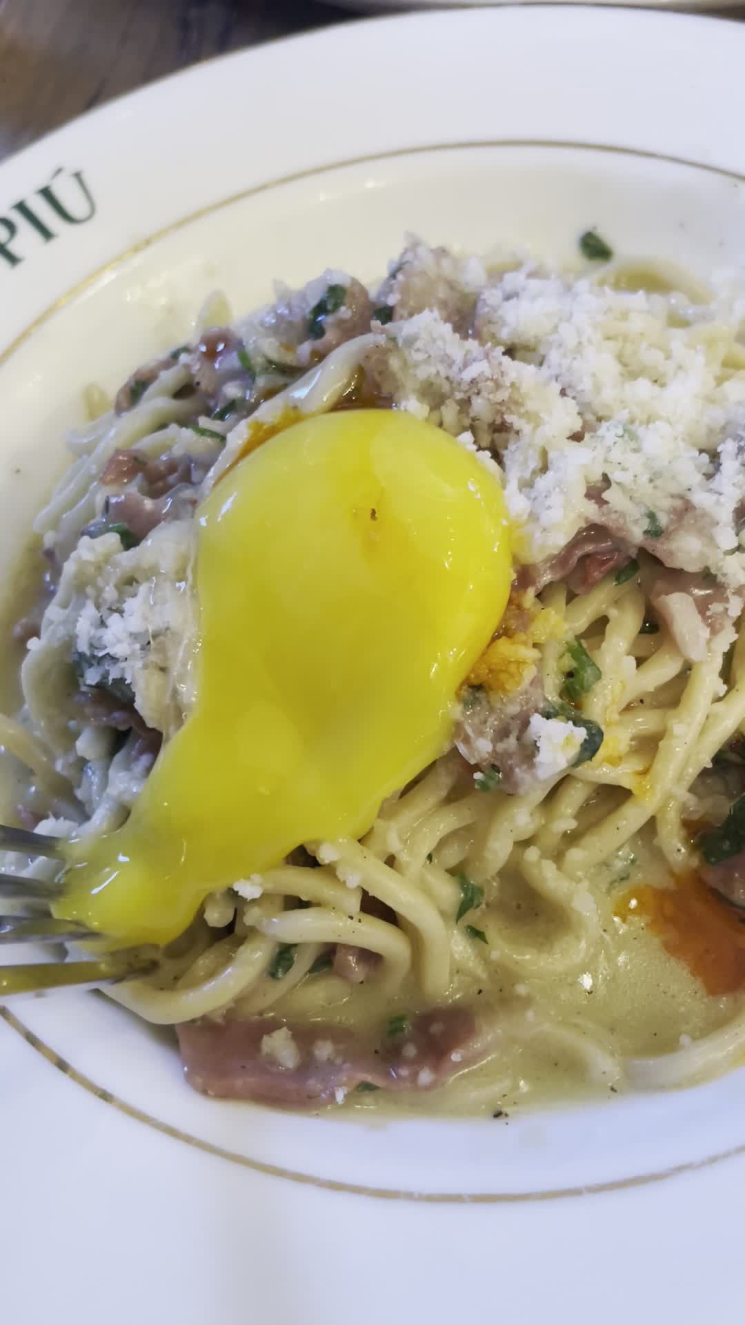 OLIO E PIÙ