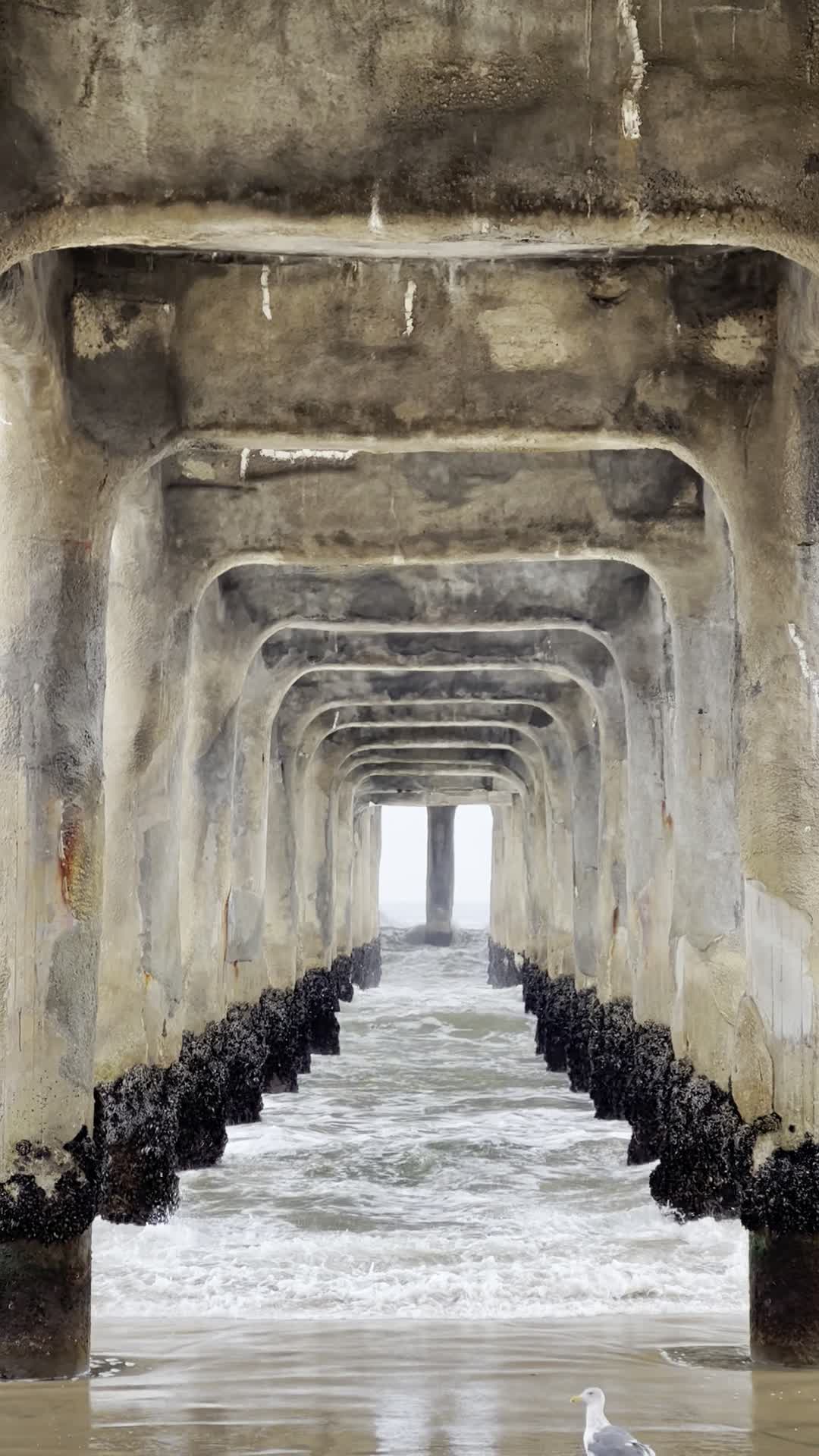 Manhattan Beach Pier