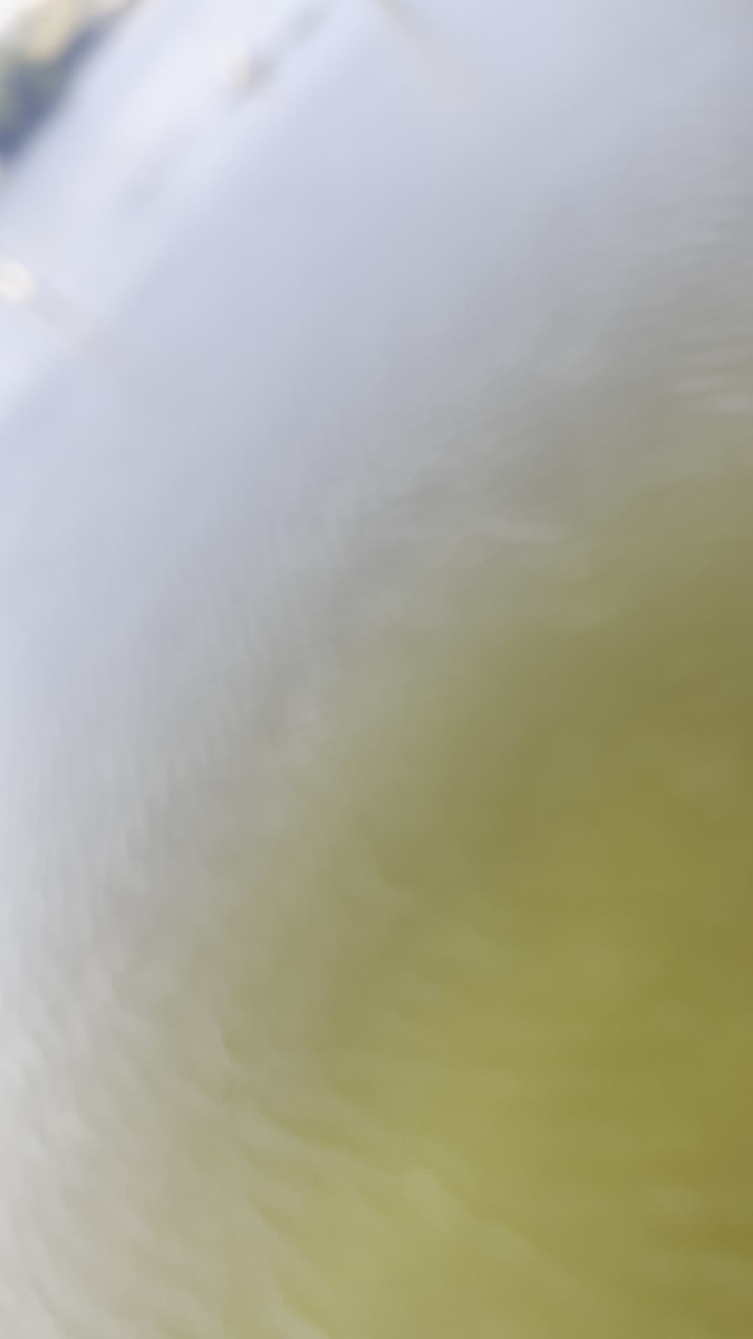 Video review of Harbor Cove Restaurant