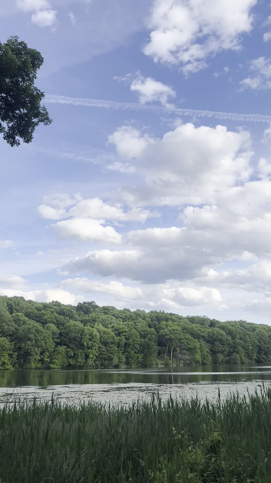 Video review of Rockefeller State Park Preserve