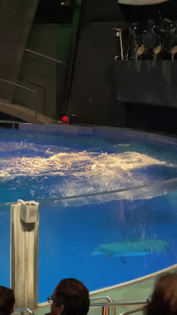 Georgia Aquarium