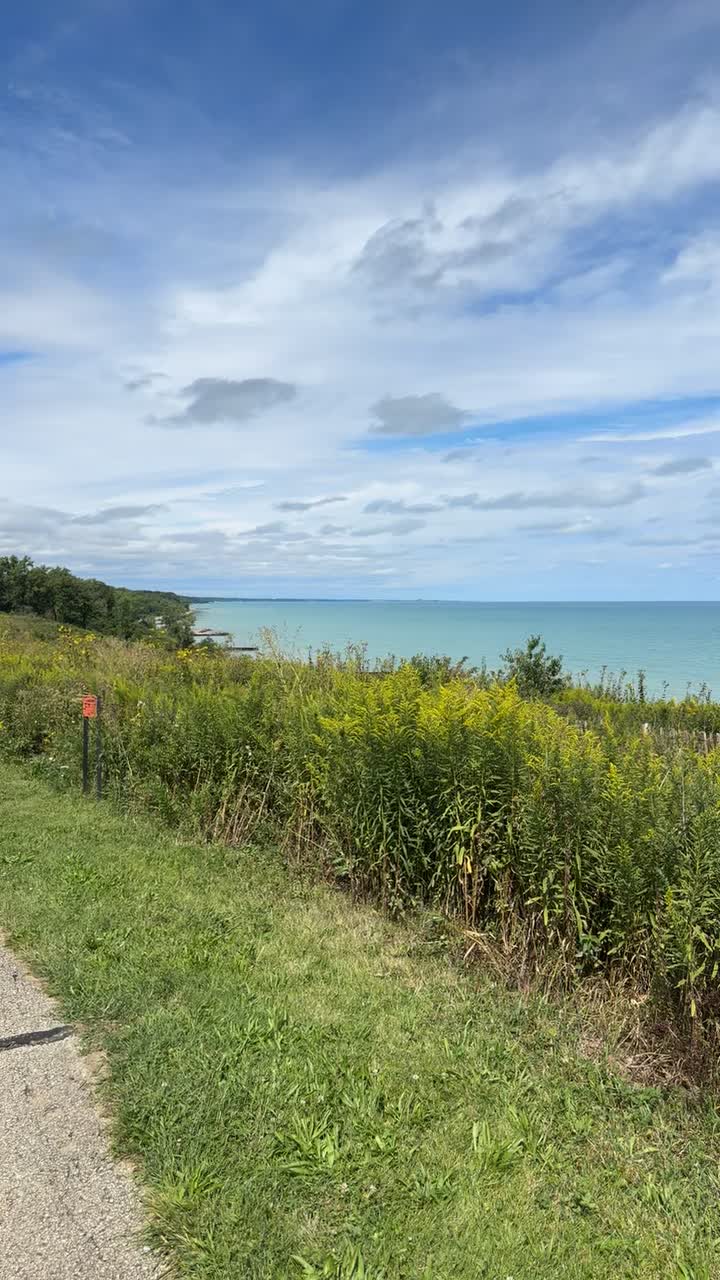 walking trail