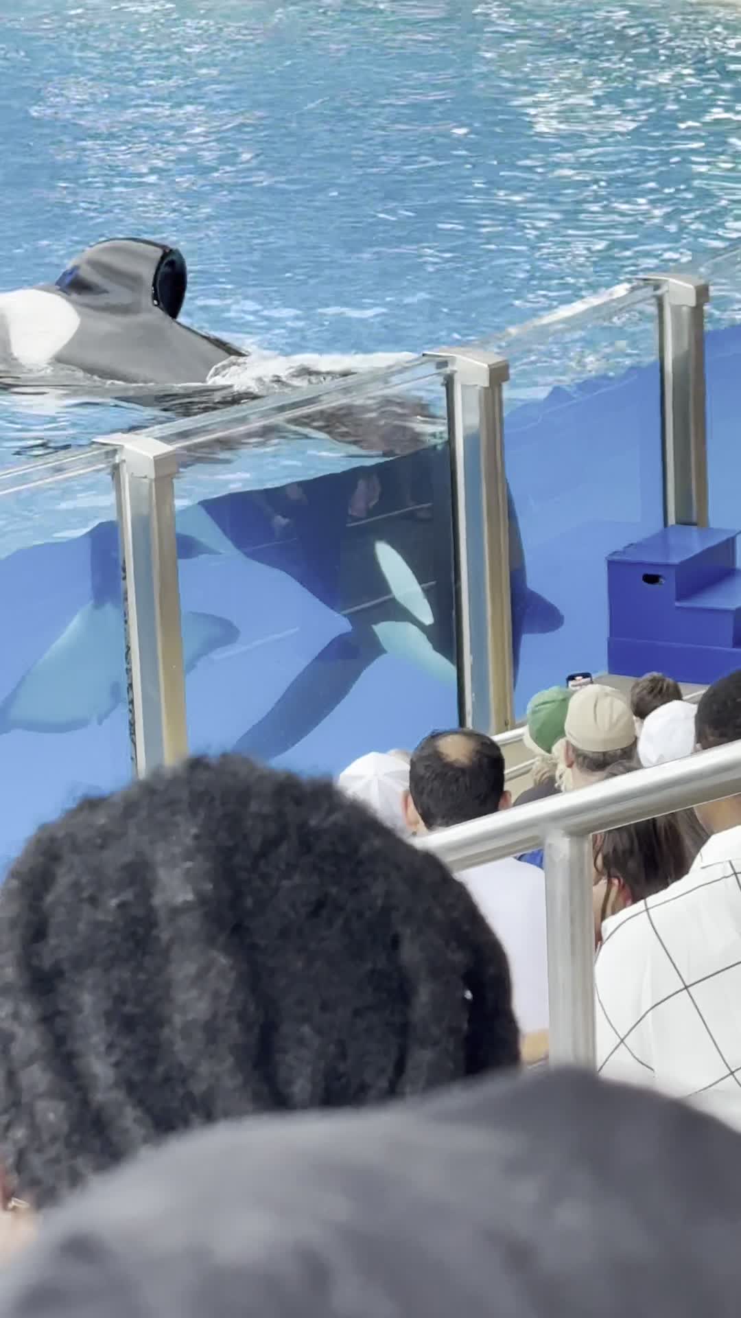 SeaWorld Orlando