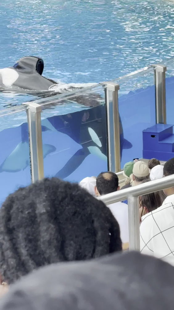 SeaWorld Orlando
