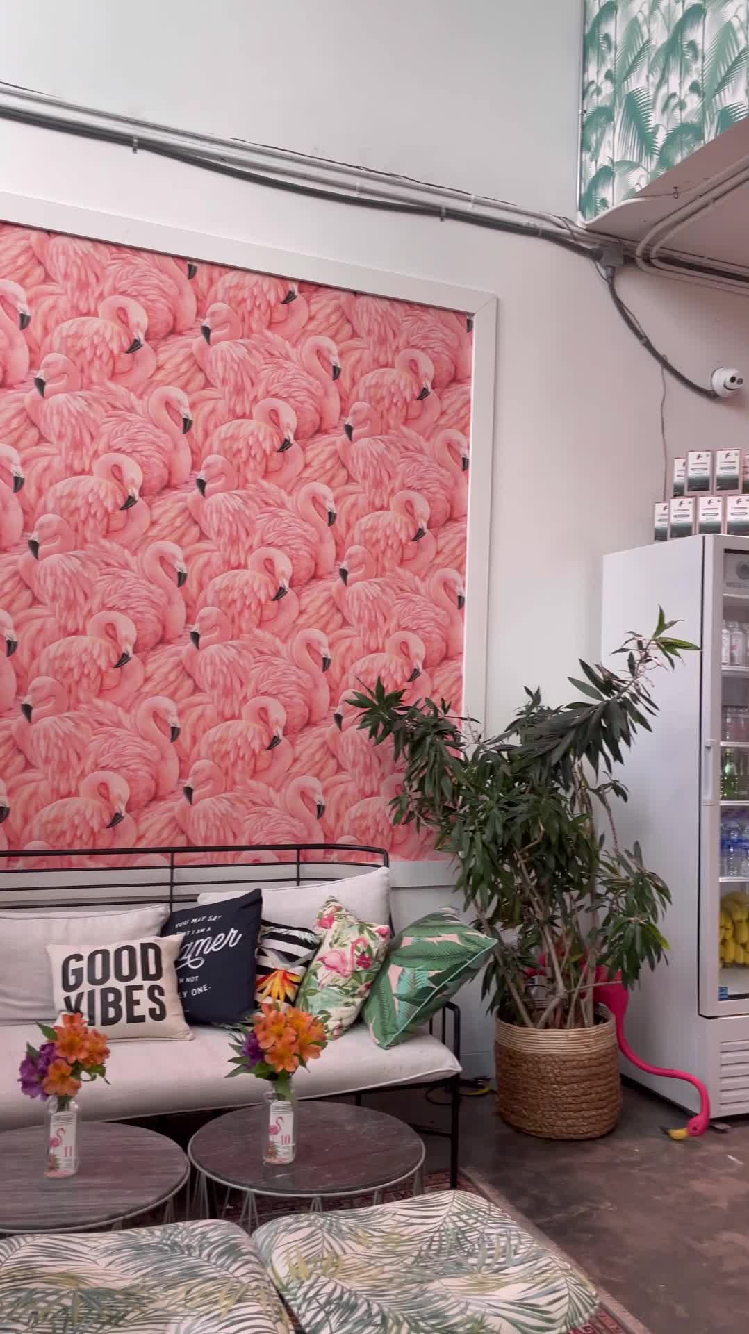 Dreamer Acai Juice Matcha