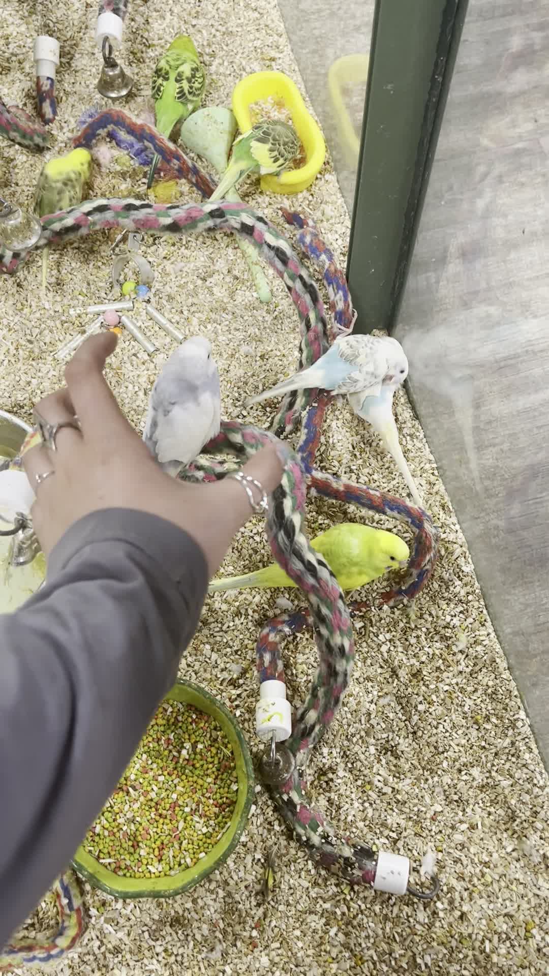 City Moment · Lake Saint Louis