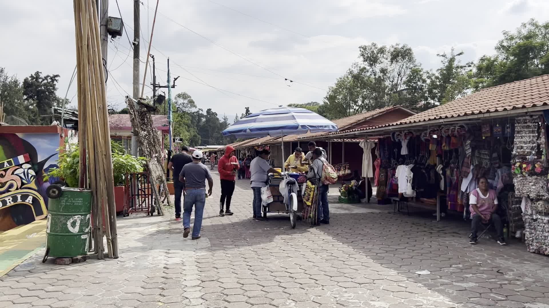 Madre Selva Xochimilco