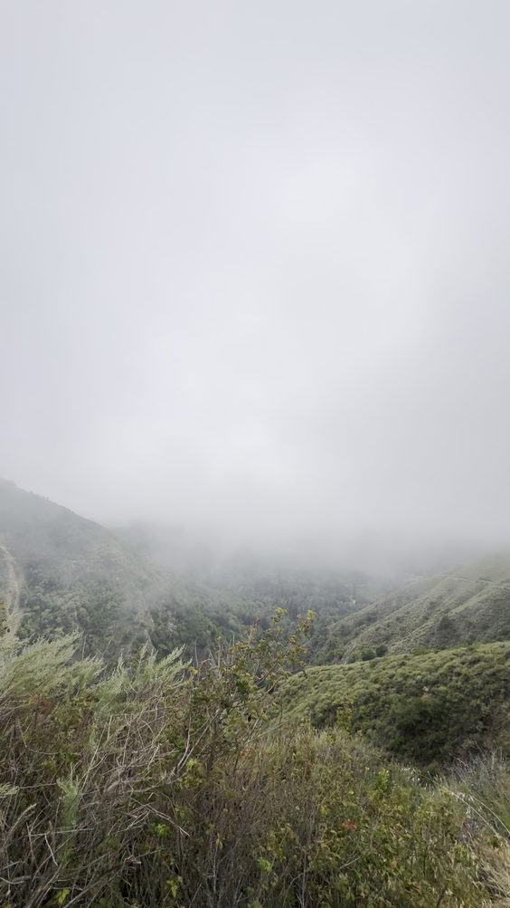 City Moment · Big Sur