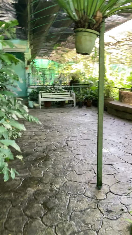 Butterfly Park (Taman Rama-Rama)
