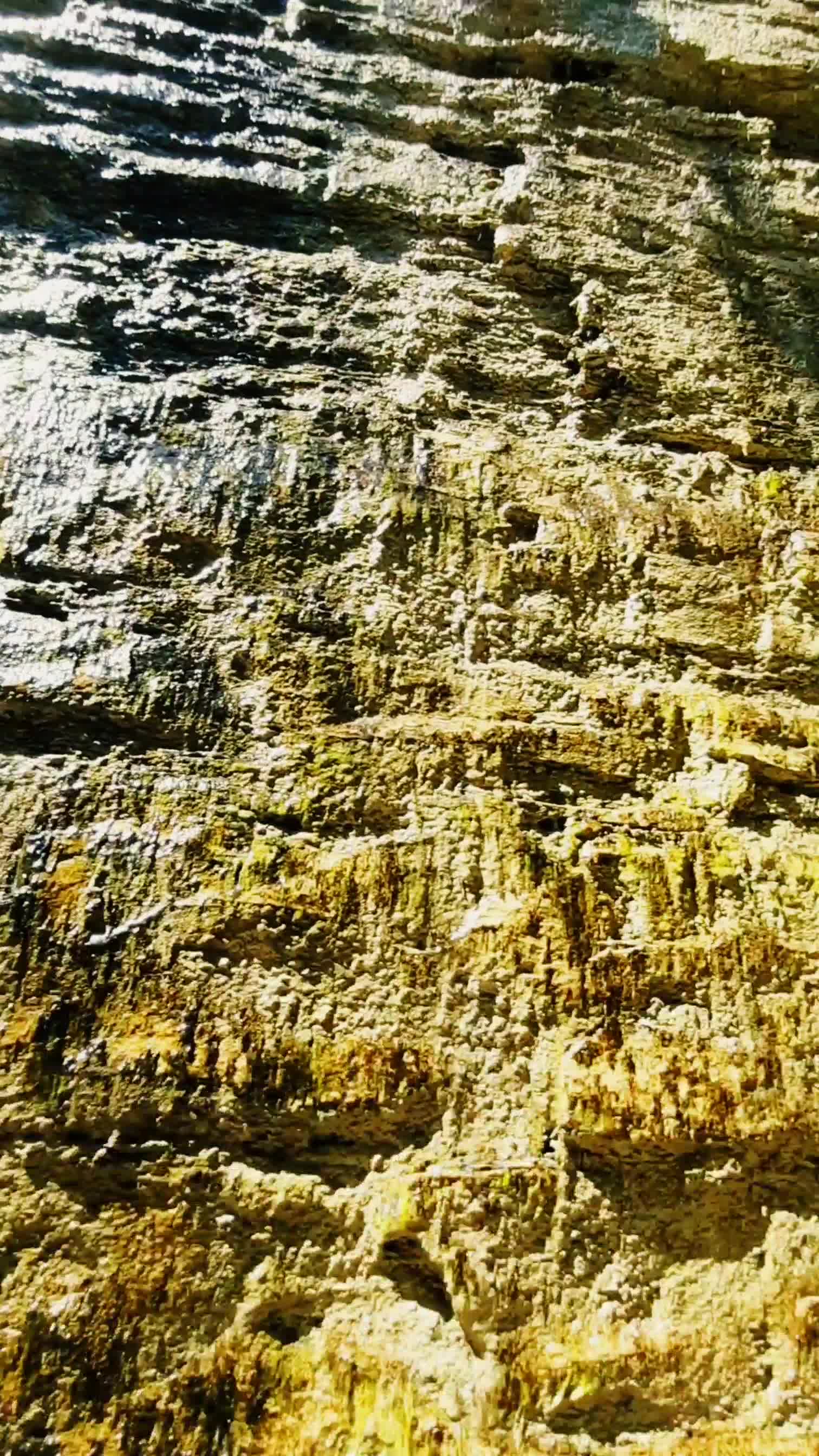 Watkins Glen State Park