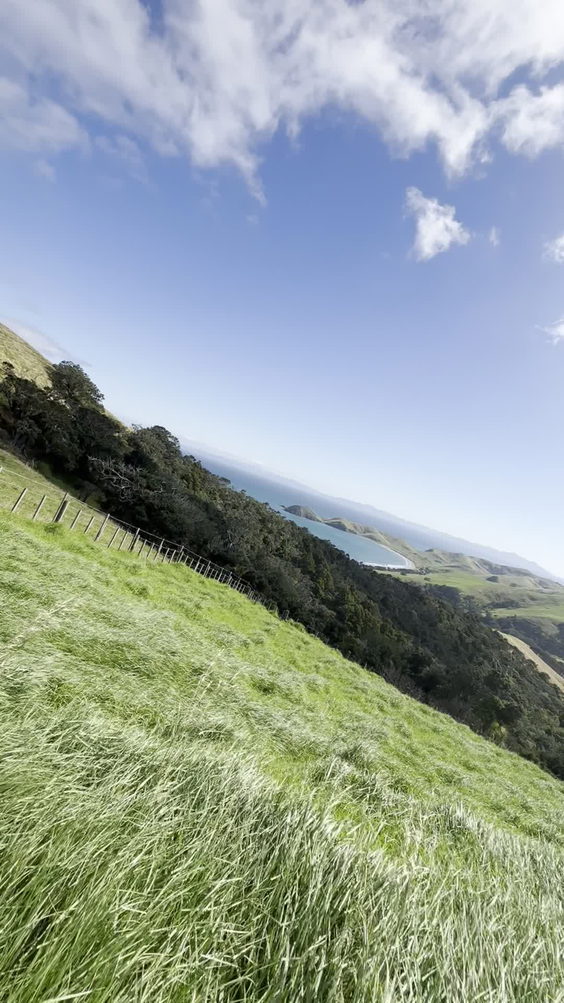 Port jackson 