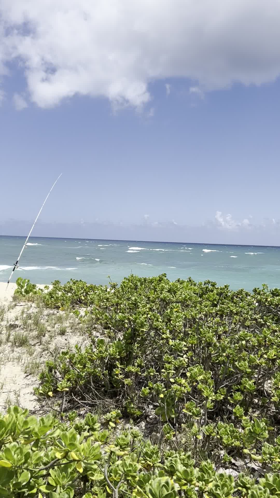 Kaena Beach