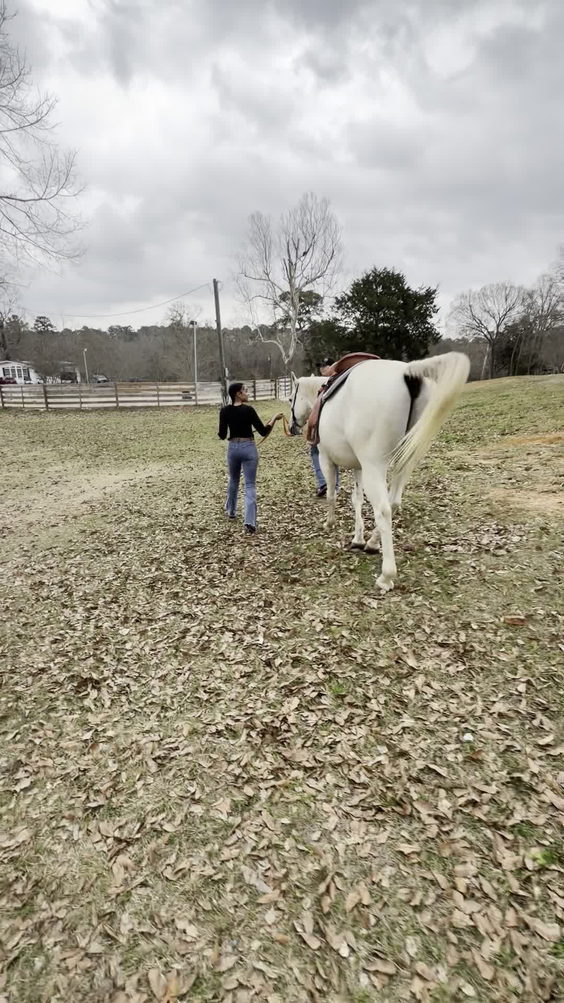 horse back riding