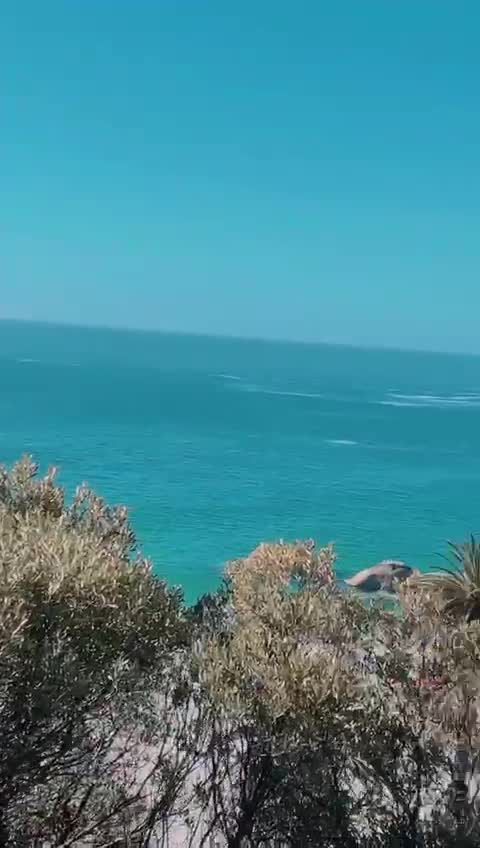 Video review of Clifton 3rd Beach