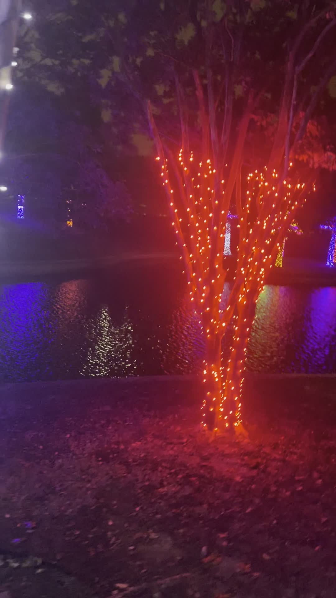 Fiori on Vitruvian Park