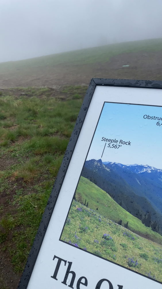 Hurricane Ridge