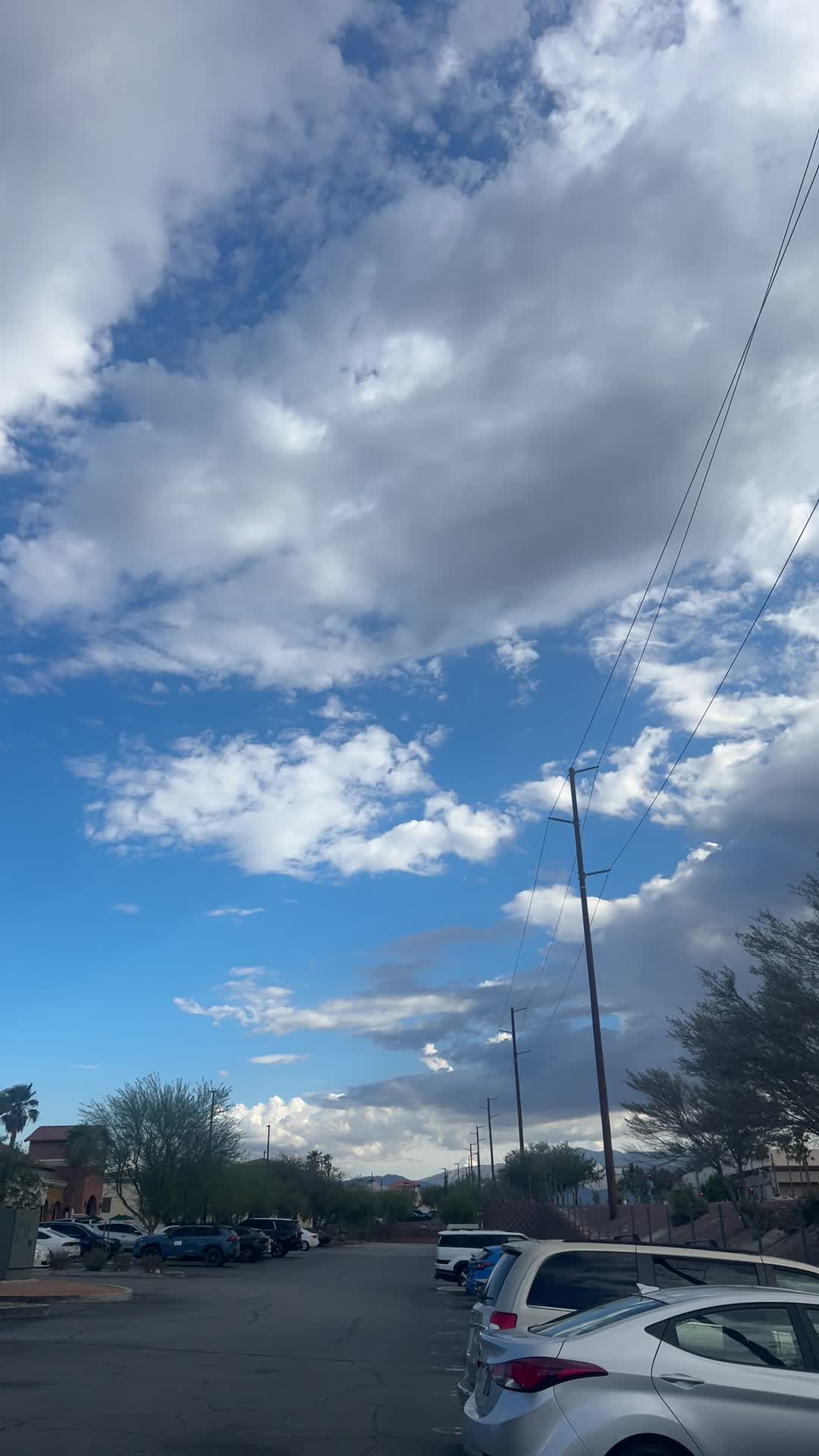 Palm Desert