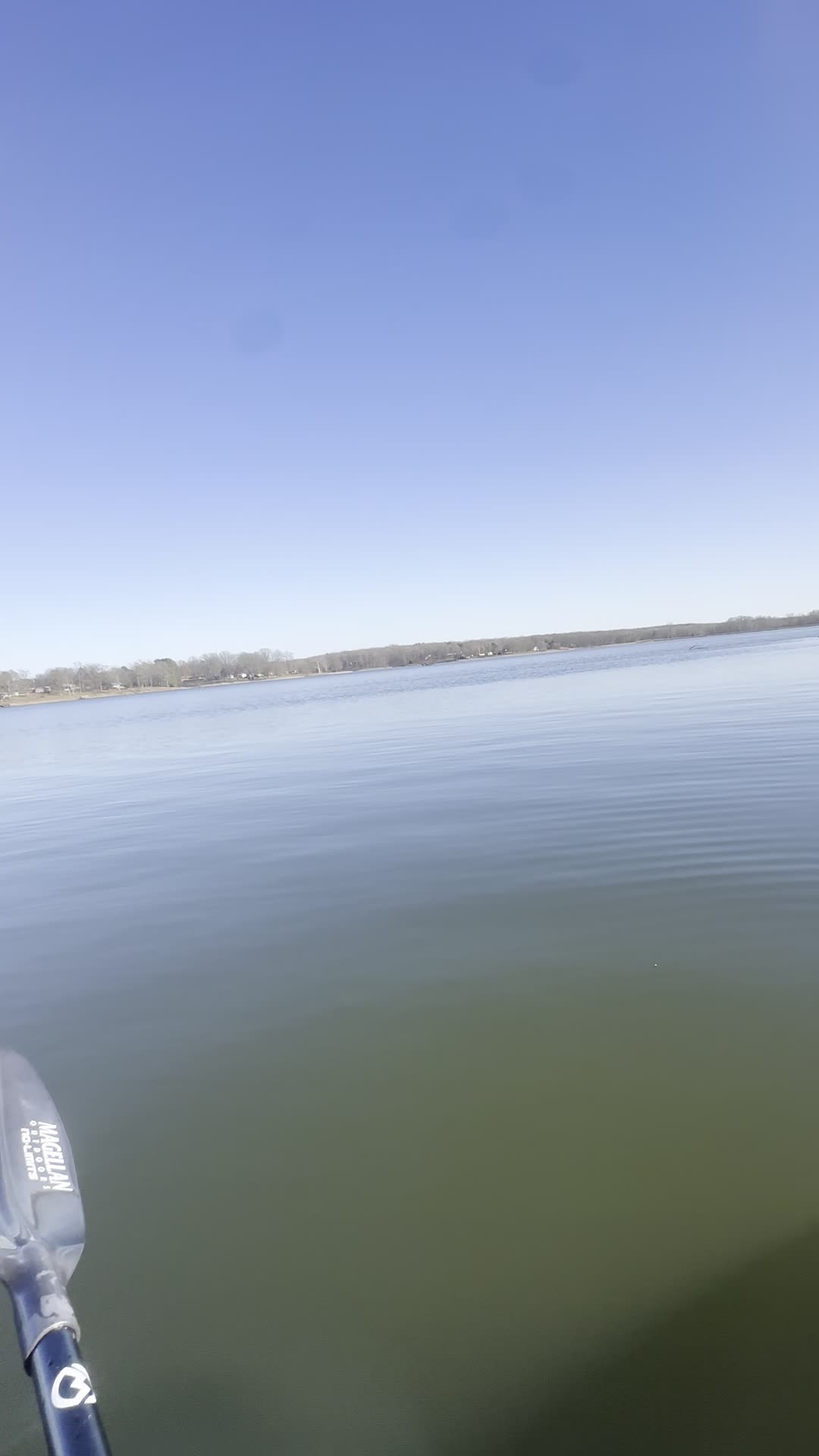 Lake Poinsett State Park
