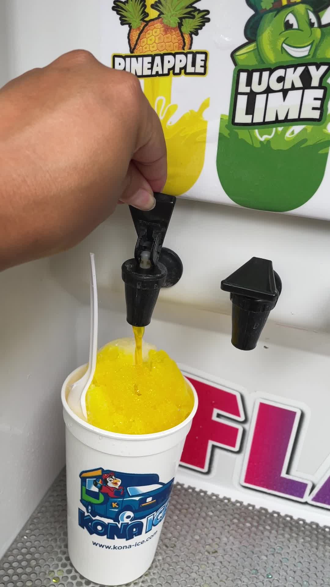 Jacksonville Zoo- Emerald Garden