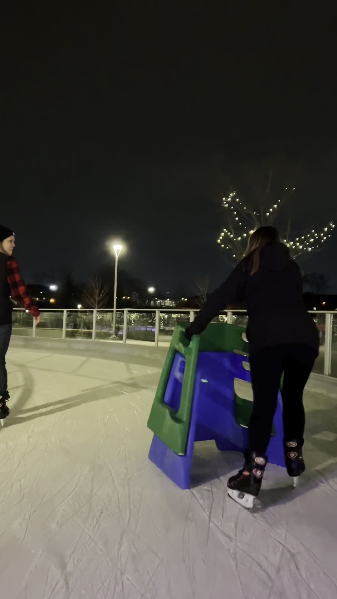 Howard Park Ice Rink