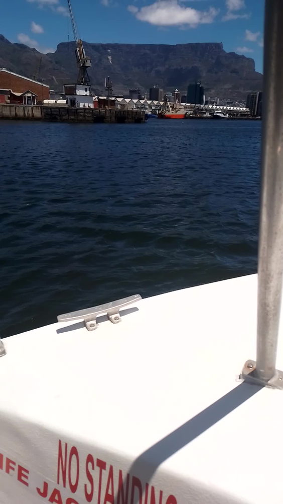 V&A waterfront boat cruise