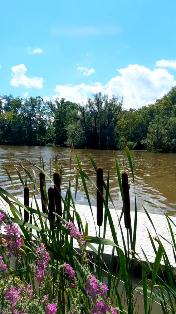Cayuga Waterfront Trail